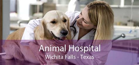 Trusted Veterinary Care at Western Hills Animal Hospital in Wichita Falls, TX - Your Pet's Health is Our Priority!